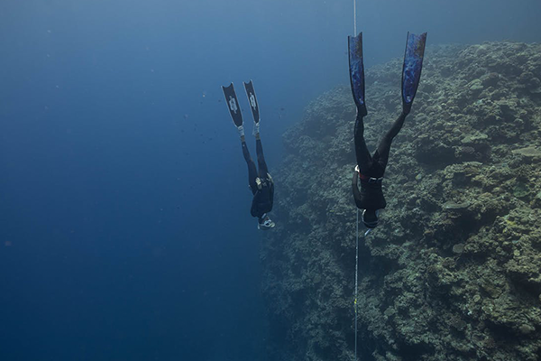 two people diving into the ocean in diving gear