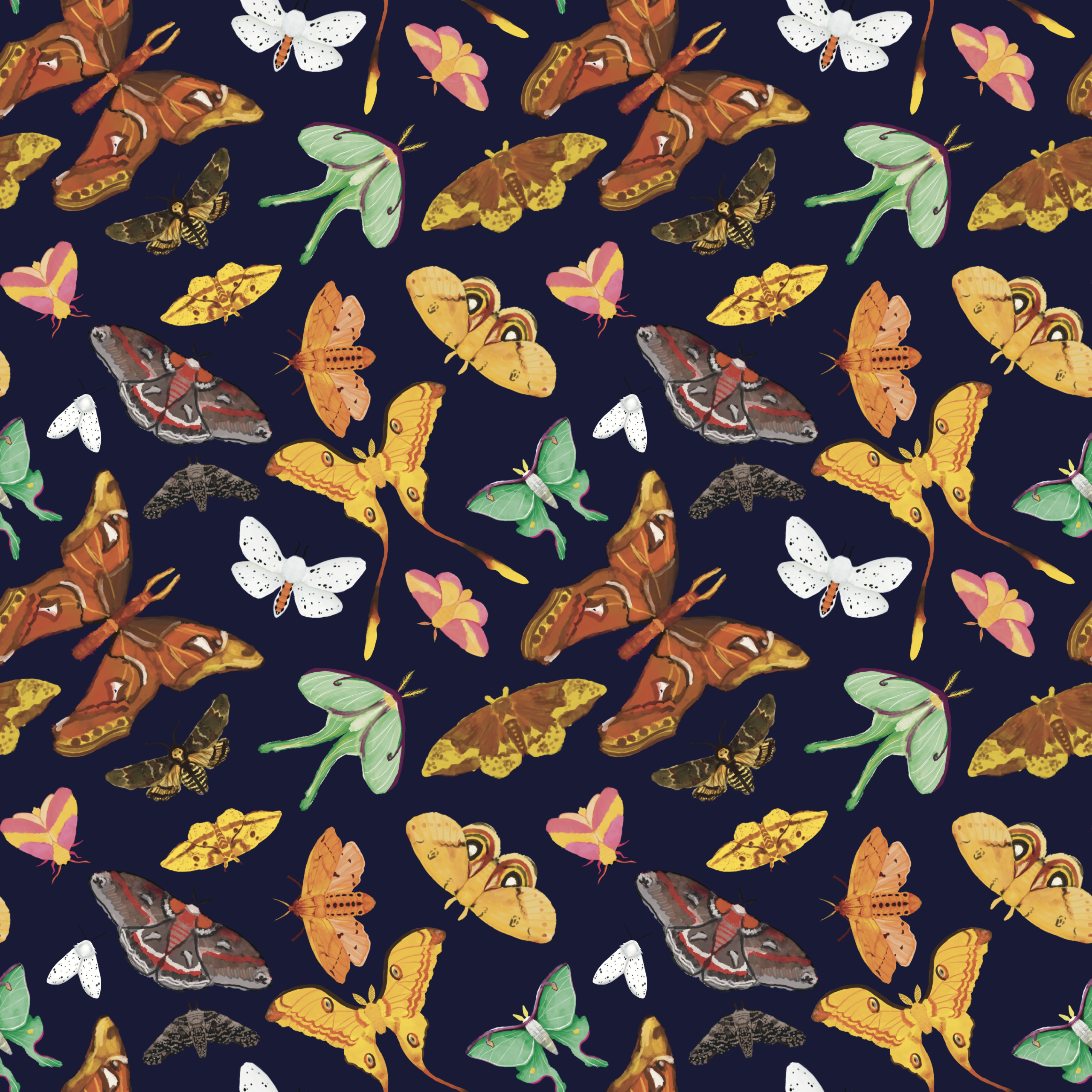 Moths in Flight (2025)